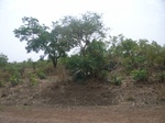 4037RIMG0341.JPG