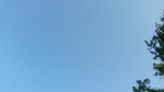 2016-09-23_12-15-56_Sep16-238-ME.jpeg