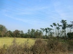 41616CIMG8725.JPG