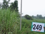72220249c-rainfed-irrigated-groundwater-cotton-dominant-sugarcane-gram.jpg