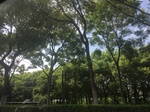 2017-09-12_13-55-45_5CE14B4F-4B11-4711-A00E-D923184A0872.jpg