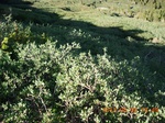 2012-09-27_14-25-52_195.JPG