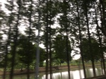 2017-09-10_20-48-30_C2DD3CC4-9D62-473A-A60B-EA4063F18843.jpg