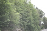 2022-06-11_17-54-52_CA1F0A2F-82A5-4250-B378-49F643E8D2E1.jpeg