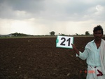 12785021a-rainfed-rabi-mixed-crop-tobacco-groundnut-millet.gif
