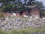 677R0015185.jpg