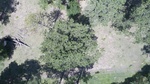 2017-06-12_13-57-38_DJI_0060.jpg