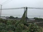 2017-09-10_10-10-51_75185E2D-5AB6-4CC8-9742-41466051164C.jpg