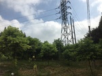 2017-09-12_10-54-28_9112C1B5-27FB-450B-8886-B910A4813629.jpg