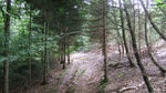 2016-07-26_09-51-55_DSCF1784.JPG