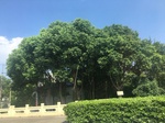2017-09-12_14-06-02_097B90C8-1202-4282-863B-CC51B2B2C250.jpg