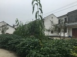 2017-09-11_22-22-39_C911C149-2566-4DC0-BA9C-ABAB3F727CCA.jpg
