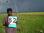 6315062b-irrigated-supplemental-major-rice-dominant-sugarcane-doublecrop.jpg