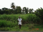 6201037b-irrigated-supplemental-groundwater-sugarcane-millet-sorgum-doublecrop.jpg