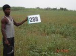 73520288c-irrigated-rainfed-groundwater-sugarcane-dominant-soyabean.jpg