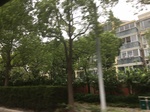 2017-09-10_07-05-05_D38F96B8-1DF6-432E-AE28-E86F35B303EA.jpg