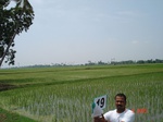 6138016d-irrigated-canal-rice-delta.jpg