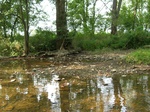 2012-09-16_22-16-42_Marsh Creek-1.jpg