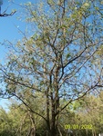 2012-09-28_22-29-21_TX-ER-4-5.JPG