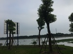 2017-09-10_20-49-04_653E1C55-8636-463B-BC63-007E014B4963.jpg