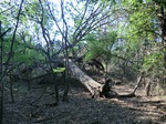 2012-09-21_16-12-31_CIMG2975.JPG