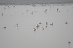 4165IMG_8802.JPG