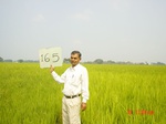 6726gt165-cropland-1.jpg