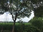 2017-09-12_10-57-27_45CC2F6B-9D5B-4586-8586-A5066A7530B2.jpg