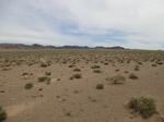 37035CIMG0828.JPG