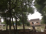 2017-09-12_03-39-55_84F94D79-9B09-4FB6-AAB3-D9AEB6DC4521.jpg