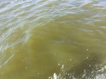 2012-09-21_14-25-53_CIMG0022.JPG