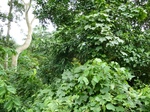 18237P1000073.JPG