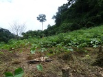 20232P1020087.JPG