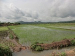 2012-09-07_10-16-20_CIMG6702.JPG