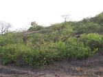 1716619042008(81).JPG