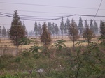 3079 012.jpg