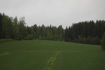 2018-04-14_14-26-25_2017-06-12 08.06.02.jpg