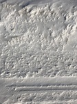 2018-02-13_14-56-39_90B6E304-224F-4F9E-BDB2-35F4017C4D1E.jpg