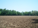 1781724042008(8).JPG