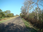 2012-09-15_11-19-18_TX-EL-13-Maypearl-4.JPG