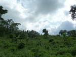 20644P1020501.JPG