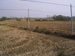 3246R0017280.JPG