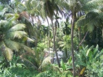 1695310052008(24).JPG
