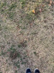 2020-11-06_15-58-44_image.jpg