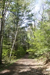 243IMG_4139.JPG