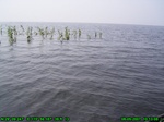 1494R0015196_tag.jpg