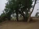 3947RIMG0251.JPG