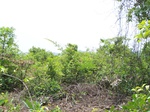 1725720042008(42).JPG