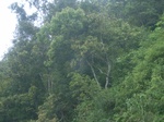 2012-09-08_19-26-24_RIMG0103.JPG