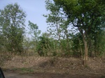 3790RIMG0094.JPG